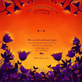 Wumly Sunset Personalisation Test